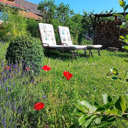 Loft Eifel Idylle Lejlighed Nettersheim Eksteriør billede