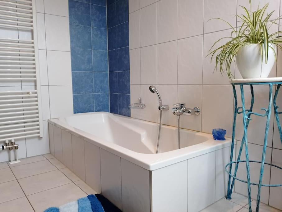 Loft Eifel Idylle Lejlighed Nettersheim Eksteriør billede
