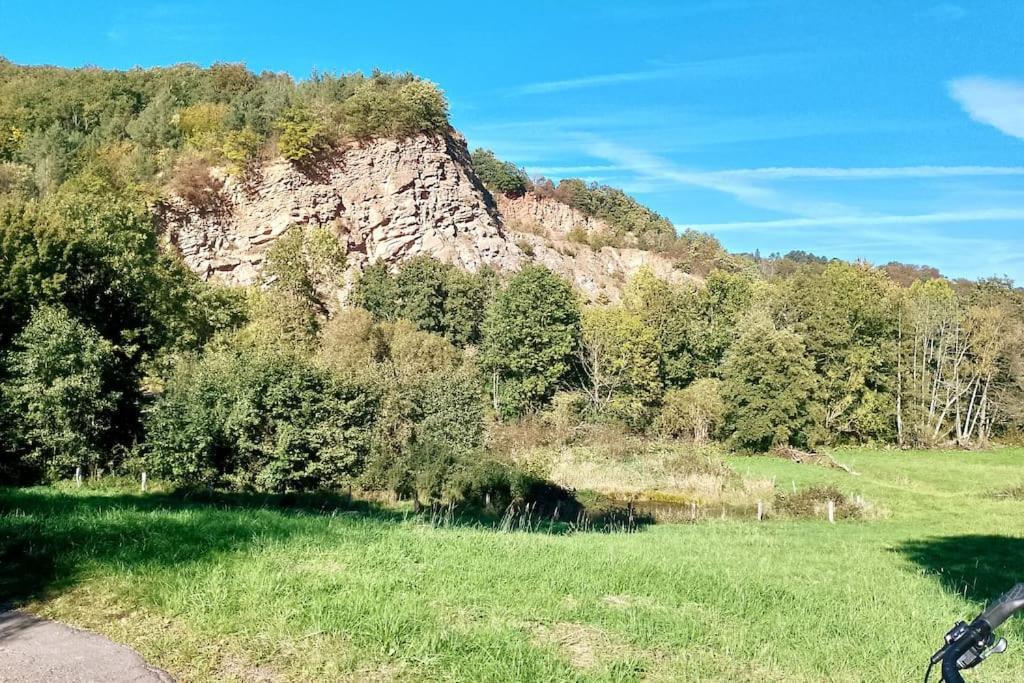 Loft Eifel Idylle Lejlighed Nettersheim Eksteriør billede