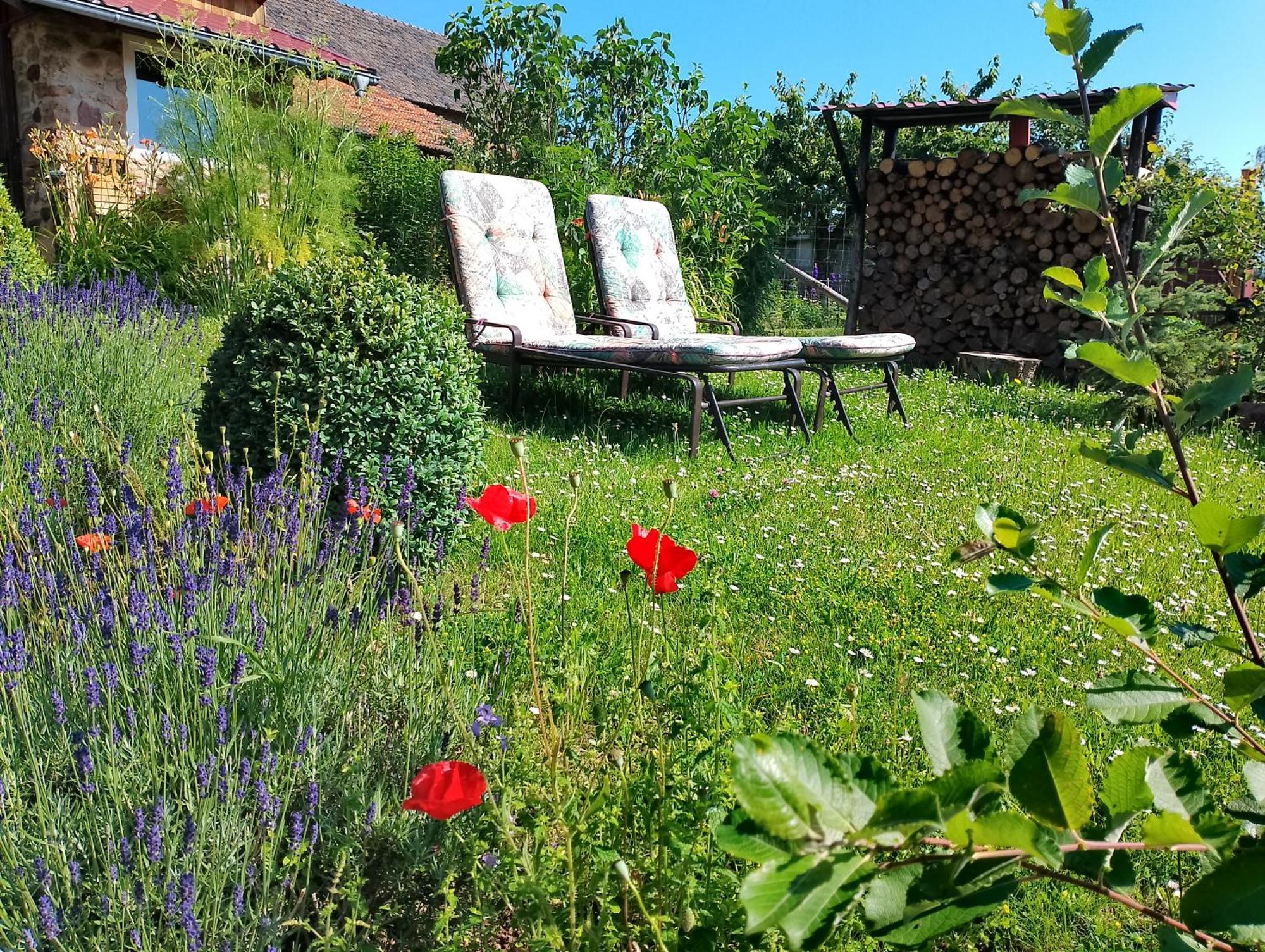 Loft Eifel Idylle Lejlighed Nettersheim Eksteriør billede